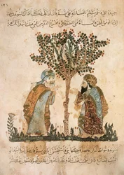 Abou Zayd hablando con Al-Harith, de Al Maqamat por Al Hariri, c.1240